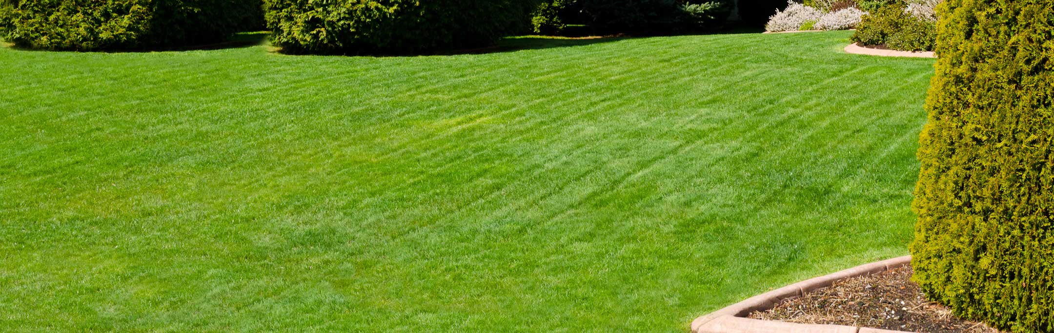 Barefoot Lawn | 208-323-8002 | Landscape Maintenance in Boise, Nampa and Meridian, Idaho