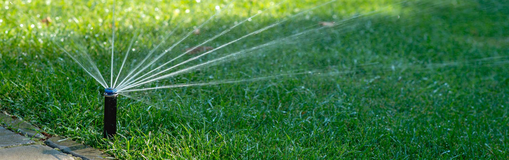 Barefoot Lawn | 208-323-8002 | Landscape Maintenance in Boise, Nampa and Meridian, Idaho