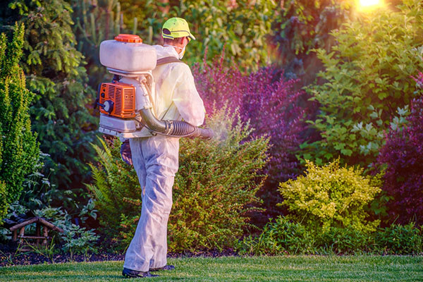 Boise Idaho Pest Control